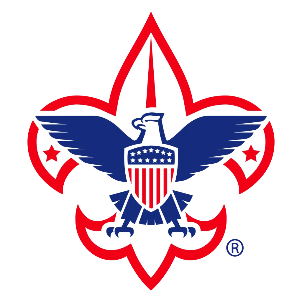 BSA Icon